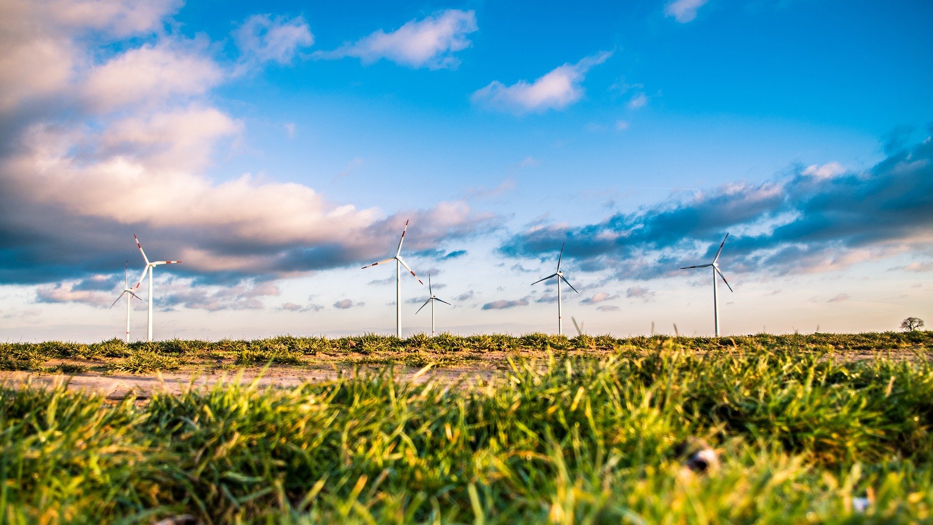 wind-farm-1209335_1920.jpg